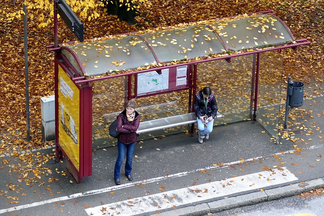 IAB- Bus halt maintain